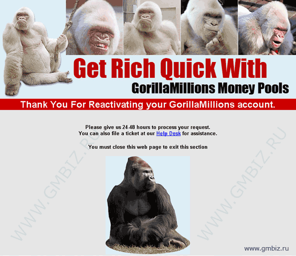 Завершение реактивации аккаунта Gorilla Millions